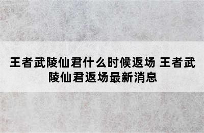 王者武陵仙君什么时候返场 王者武陵仙君返场最新消息